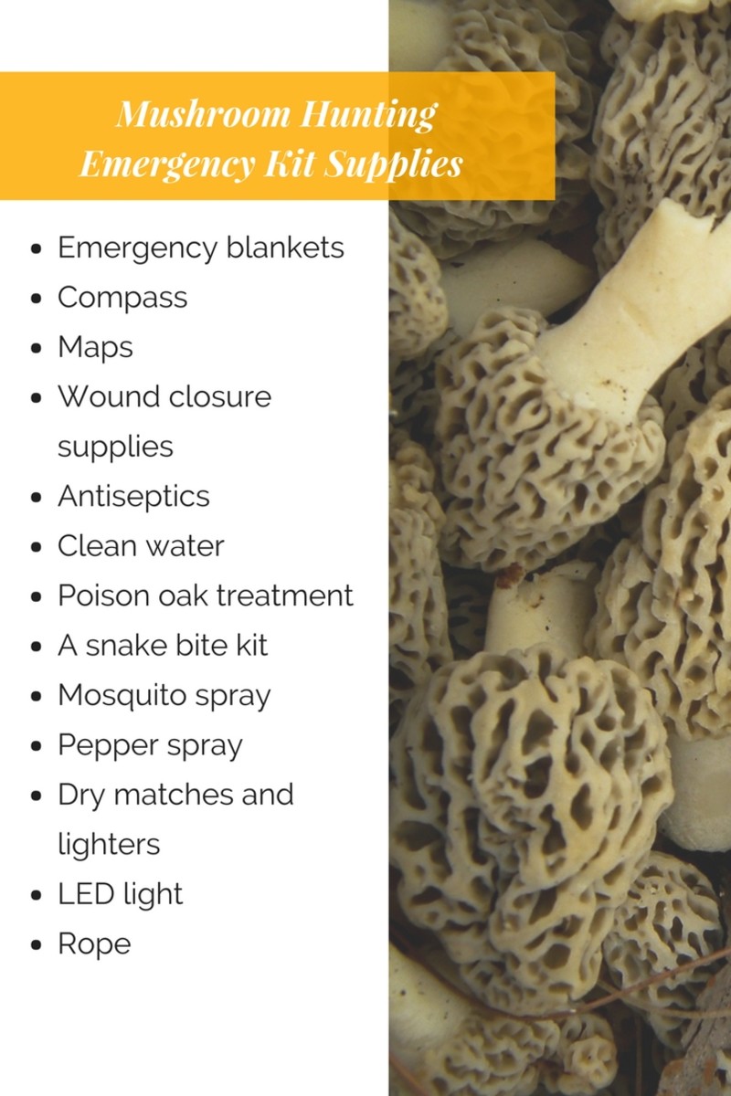 There are less than 10 pounds of materials here that could save a life.
