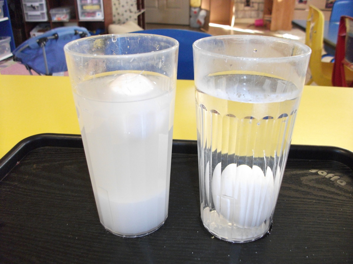 The egg in salt floats to the top while the egg in normal water sinks to the bottom.