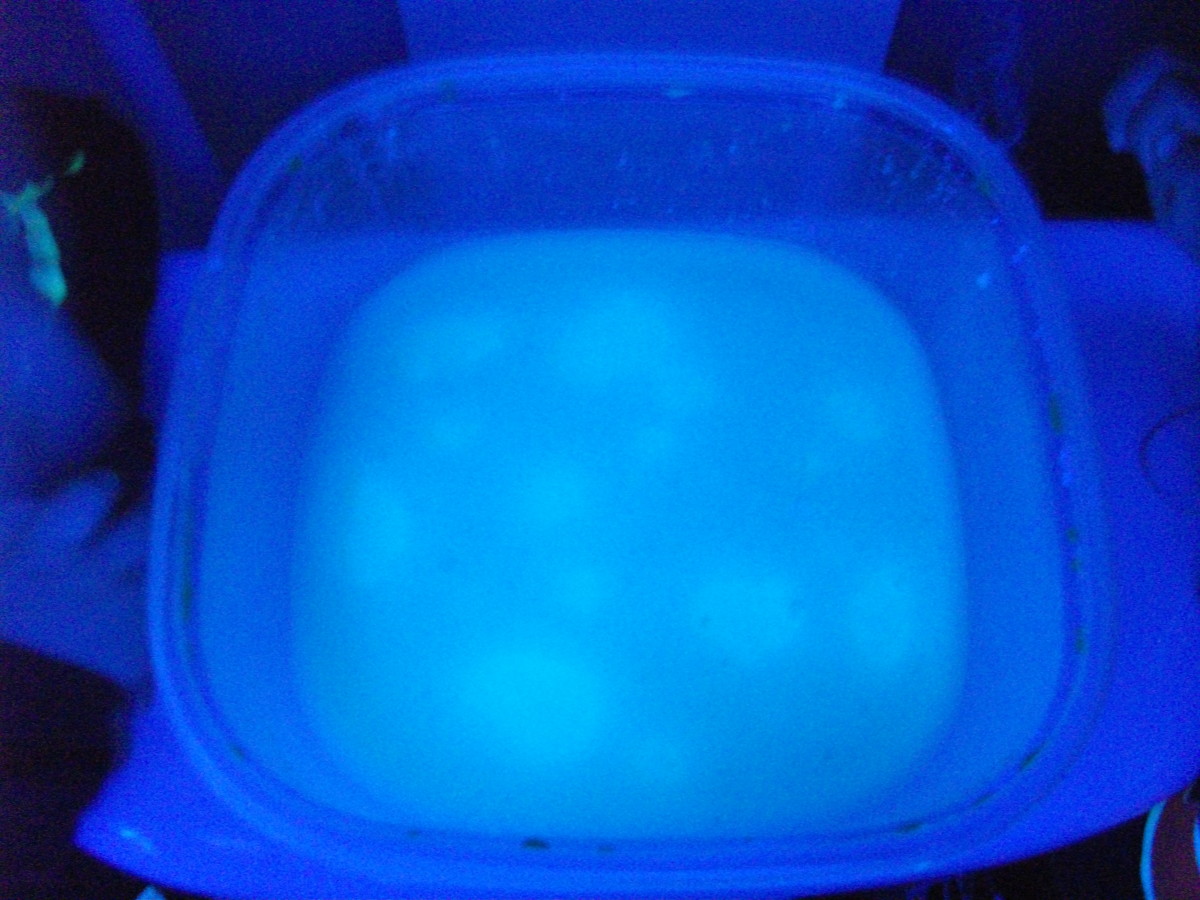 Icky slime that glows 