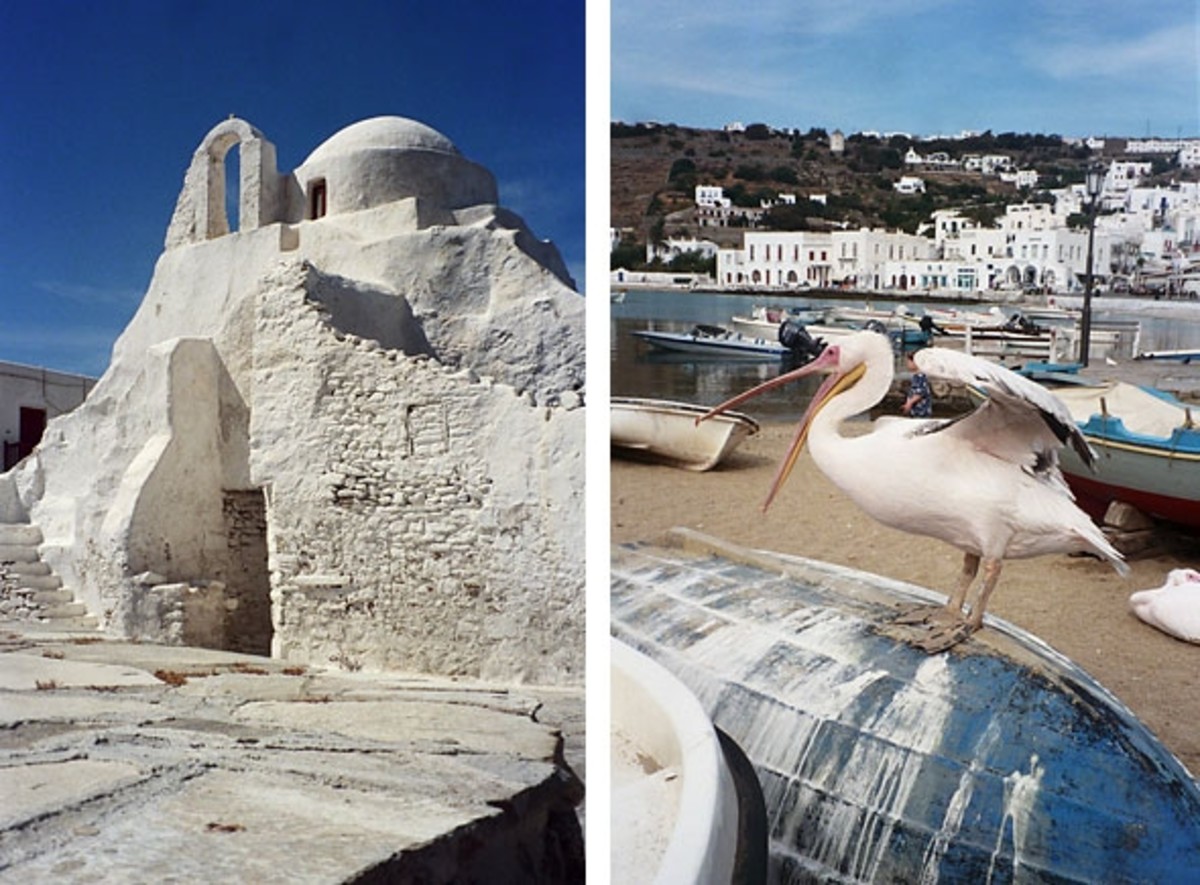 Left: Panagia Paraportiani, an iconic Byzantine church favored by Greek painters for the play of light. Right: Petros (Peter) the Pelican. Mykonos' mascot.