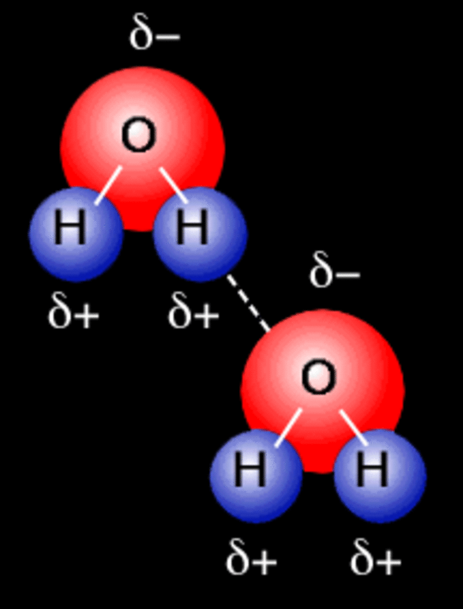 Hydrogen Bonding between two Water Molecules