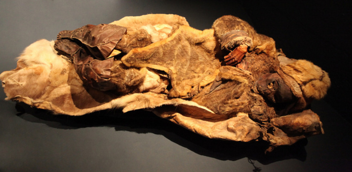 One of the adult Greenland Mummies.