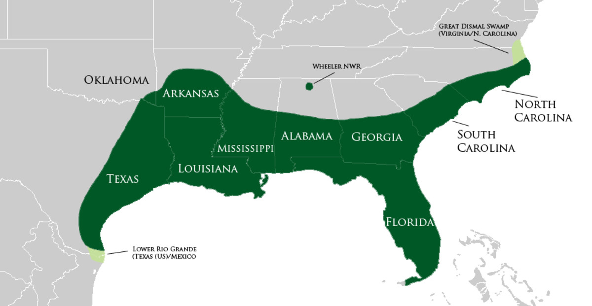 American Alligator Habitat Map