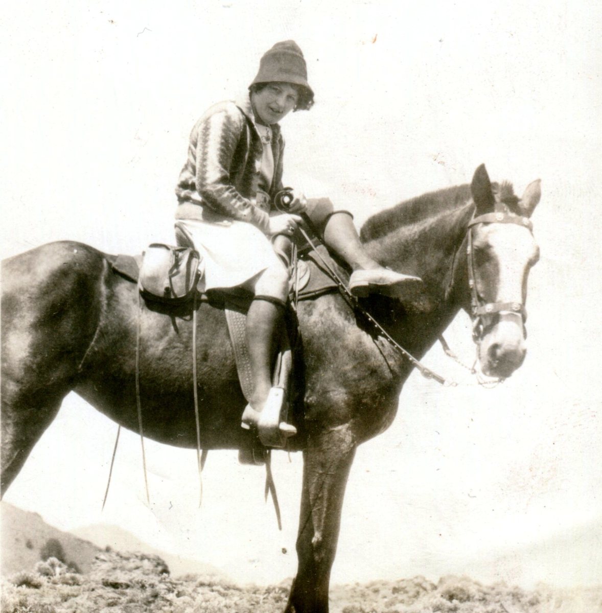 An example of a woman riding sidesaddle using a standard saddle with one horn.