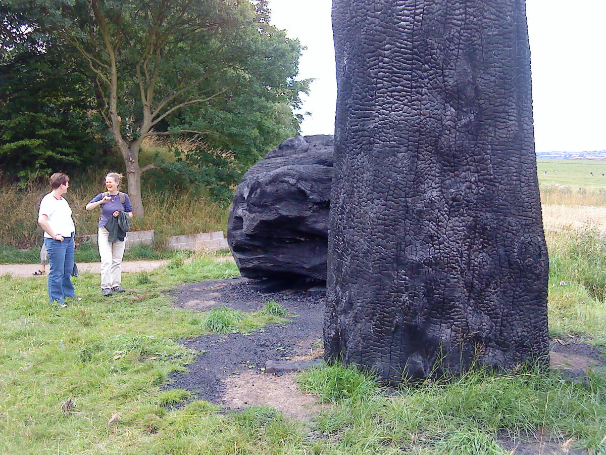 Two very large pieces of burnt wood.