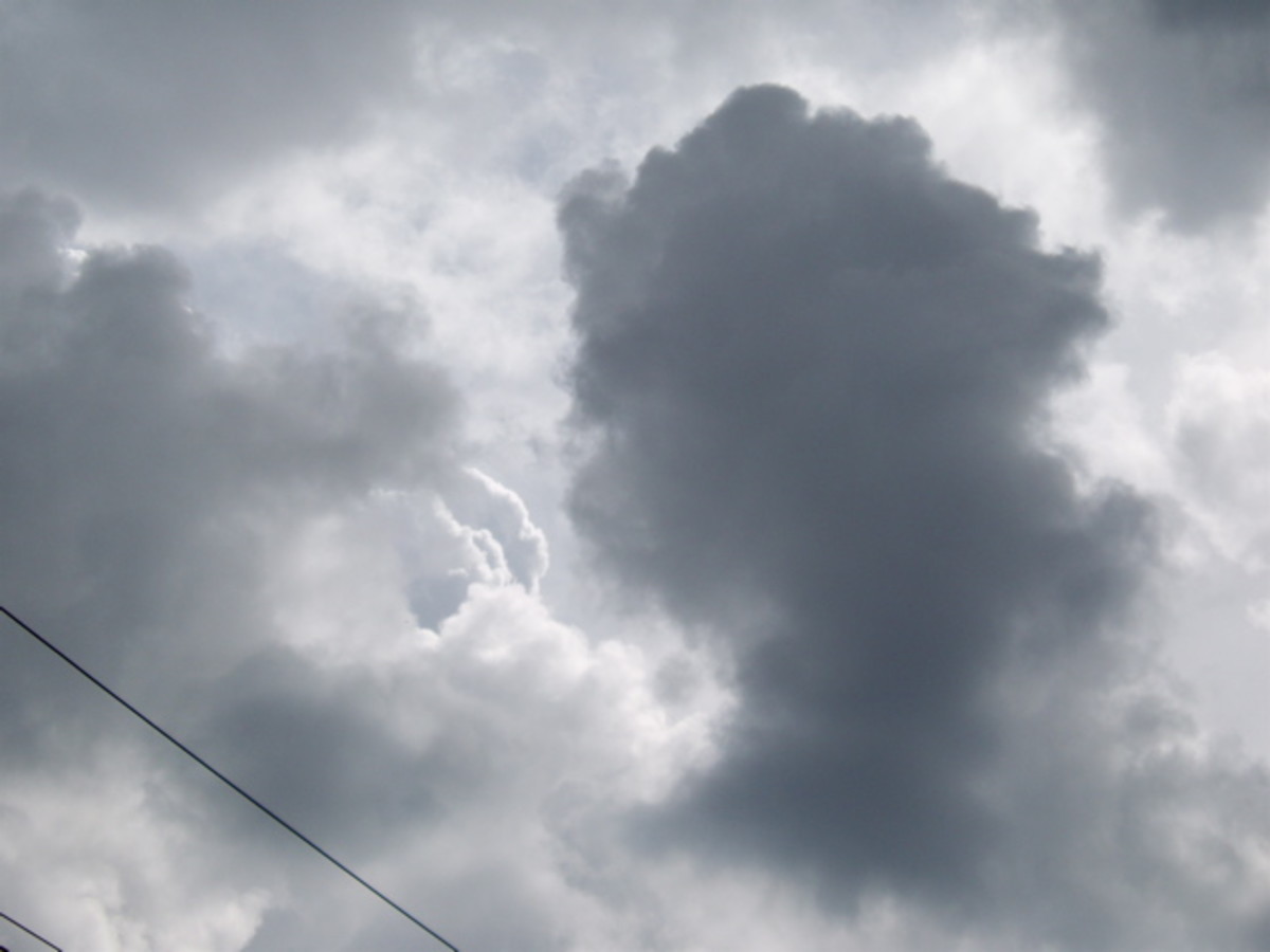 Clouds turn into rain from the action of ice-nucleating bacteria.