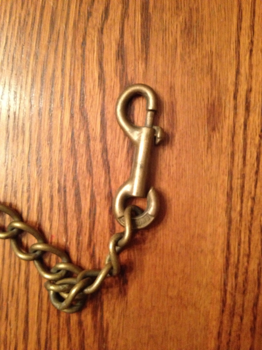 How to Put a Lead Rope on a Horse Owlcation