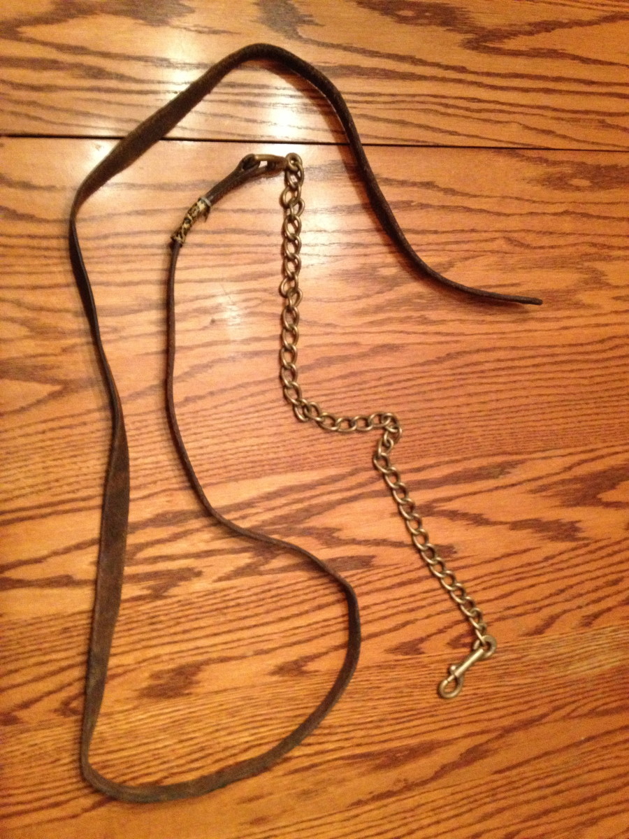 Leather lead rope with a chain. Appropriate for horse shows because it looks professional and, used properly, the chain can provide the handler with extra control over the horse. 