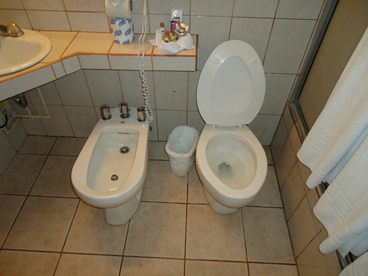 The bidet (on the left) is the preferred cleaning method of most Europeans who consider paper to be unhygienic. Maybe they have a point?