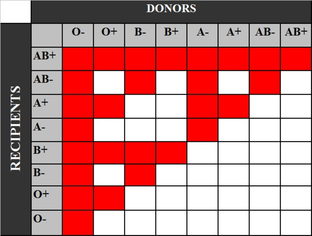 The ABO Blood System And The Most Common Blood Type Owlcation