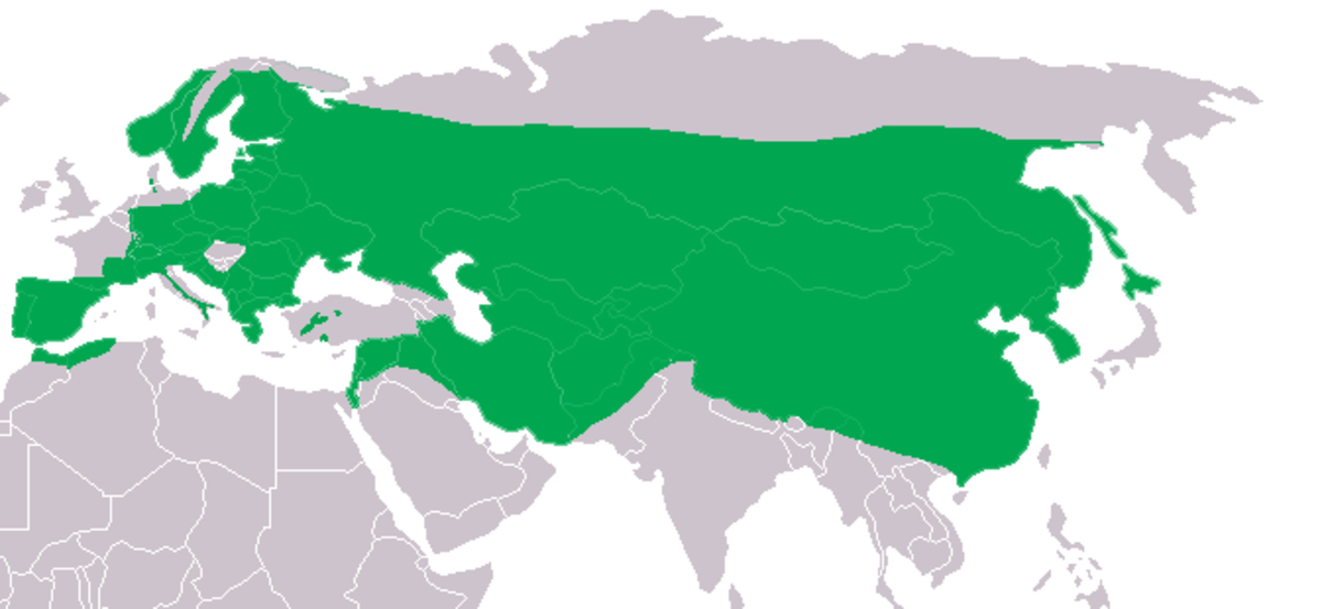 Distribution of the Eurasian eagle-owl