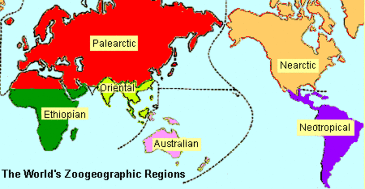 Range of the Palearctic zone