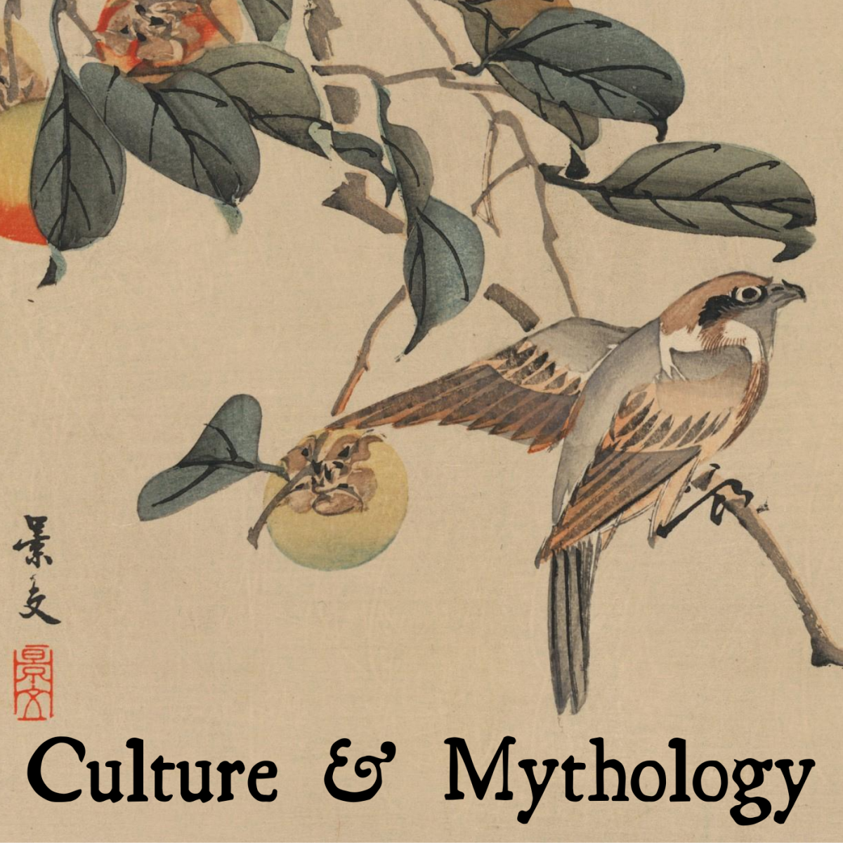 The Meaning of Sparrows Symbolism and Identification Owlcation