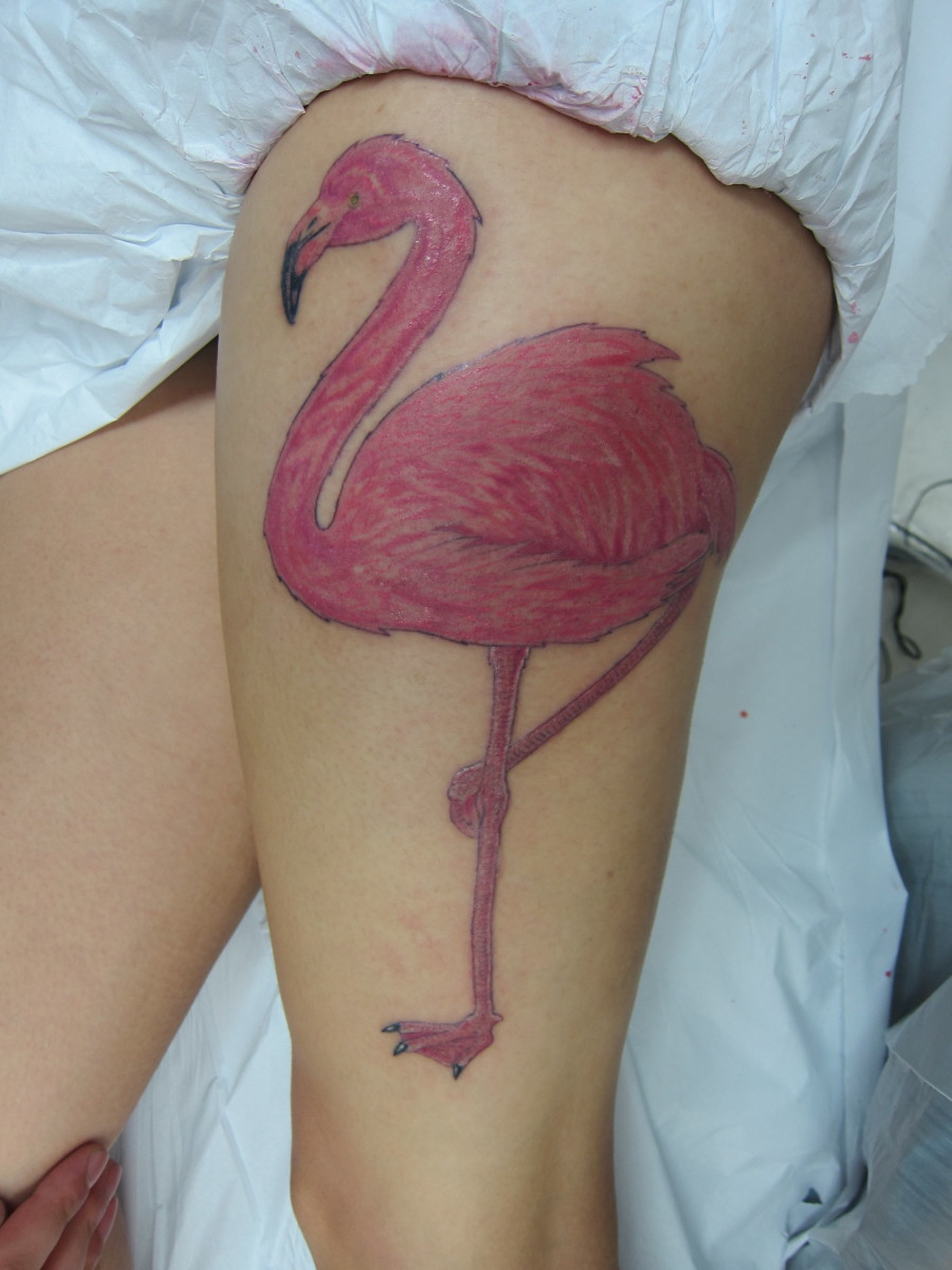 Flamingo Tattoo Designs and Meanings
