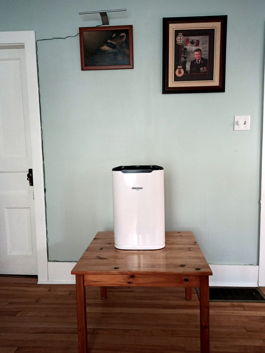 Review of the Okaysou Medical-Grade Air Purifier