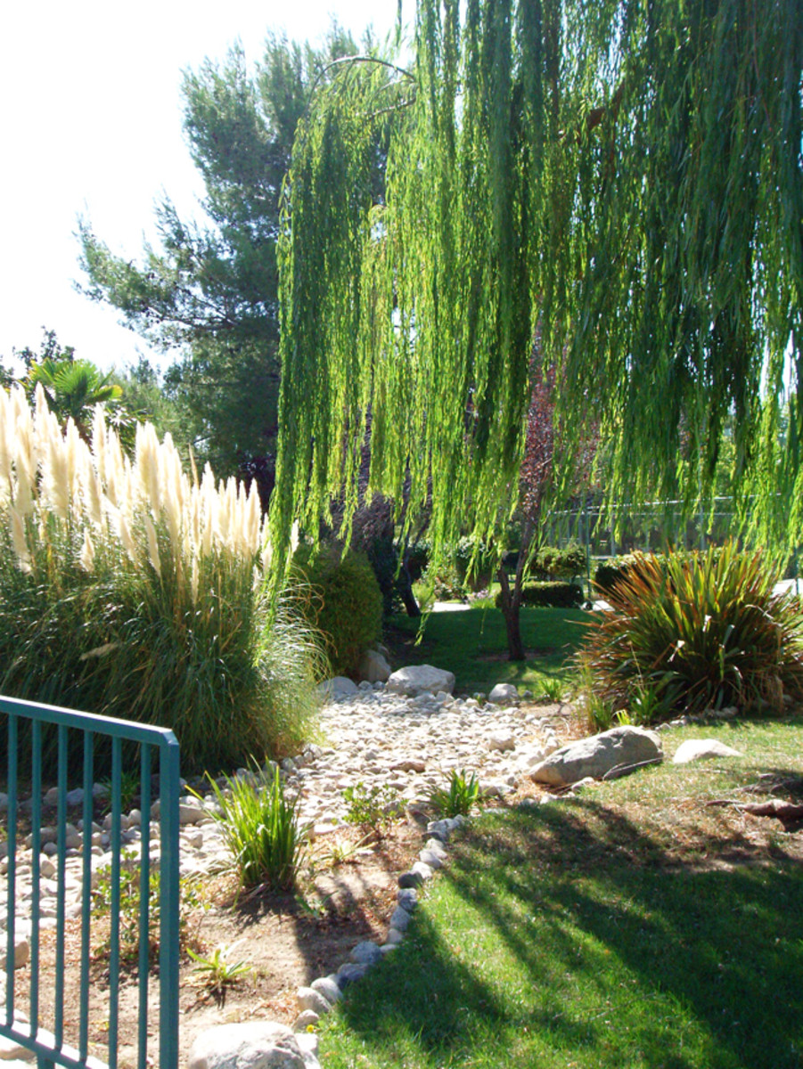 A knowledgeable landscaper can design and maintain beautiful landscapes using native plants and rocks.