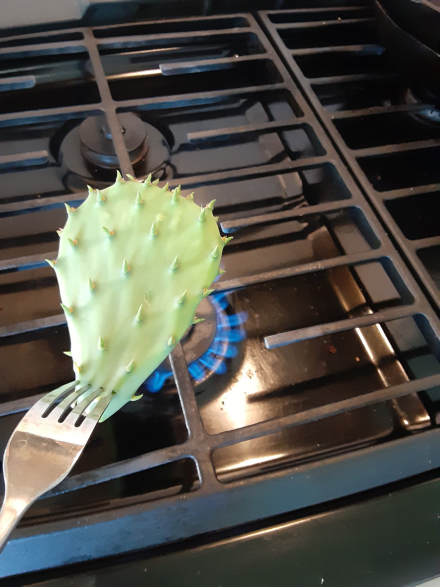 Use your tongs to hold the pad over a high gas flame for a second or two to burn off the larger thorns that could otherwise injure you when cleaning the pads.