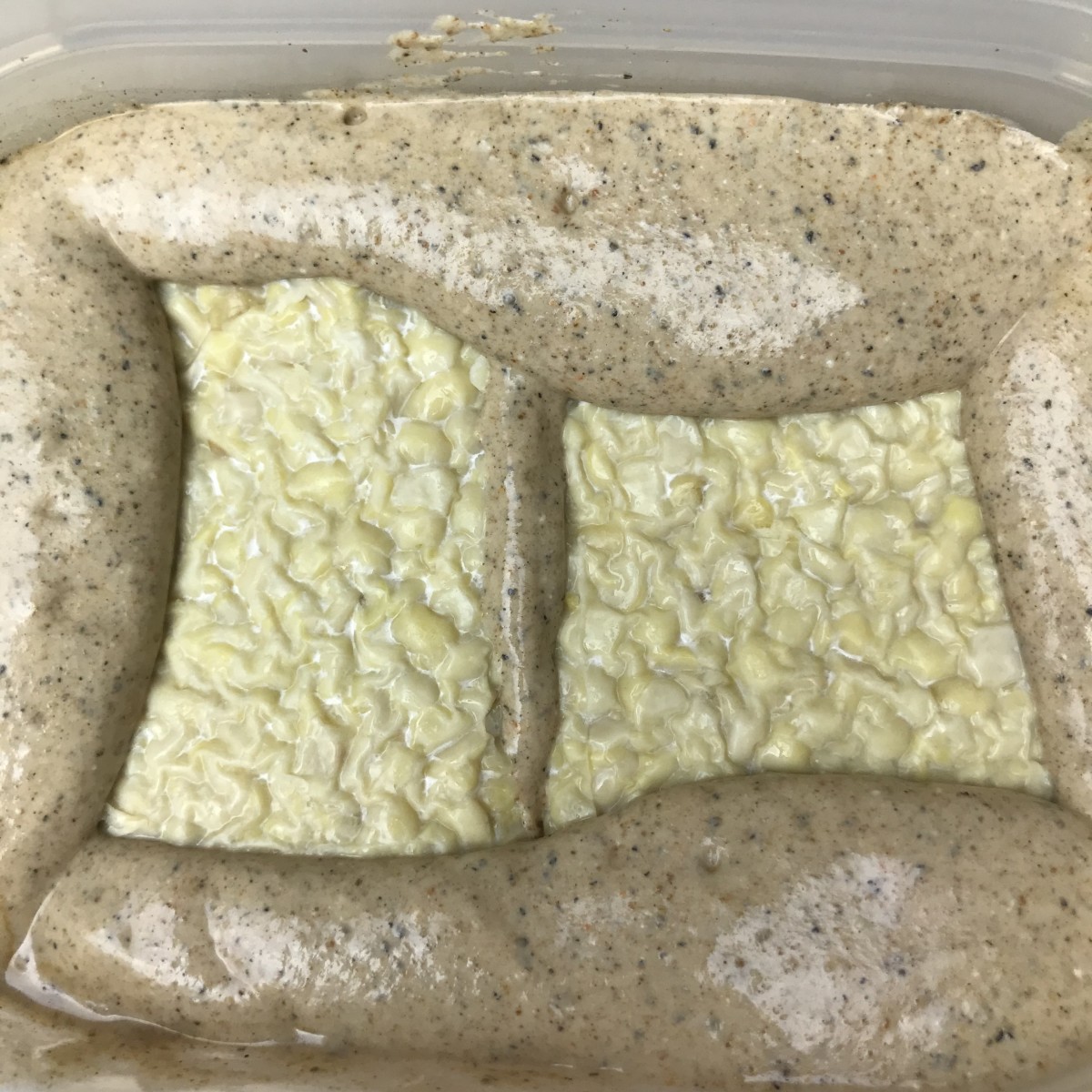 Vegan Tikka Masala Recipe With Tempeh and Cashew Cream Delishably