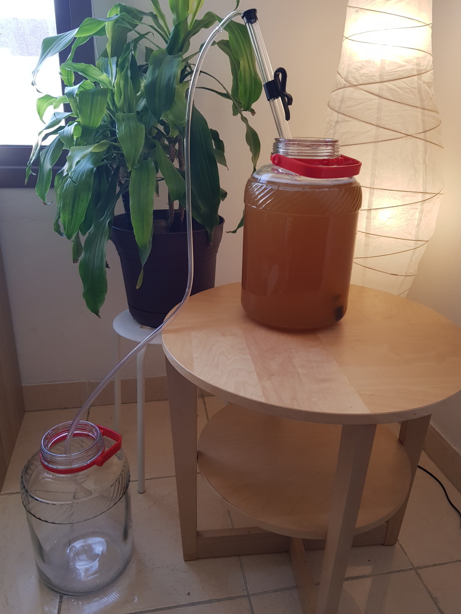 Rack mead by using the siphon, making sure to leave any yeast sediment behind.