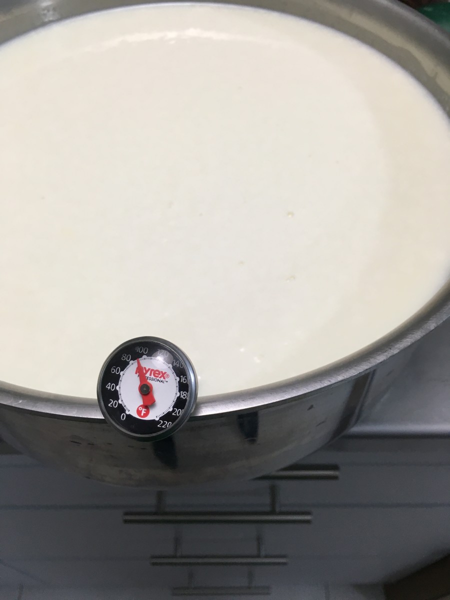 How to Make Mozzarella Cheese Delishably