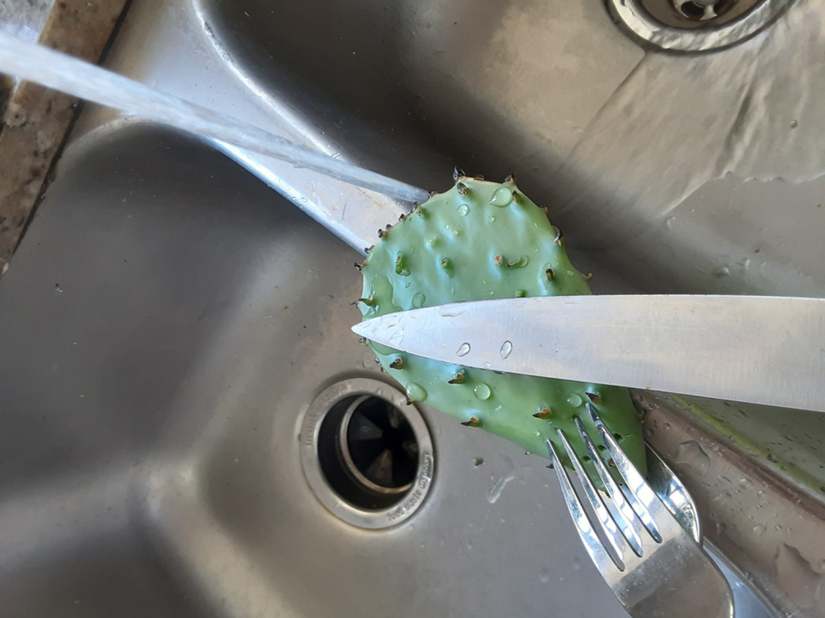 Beware of small thorns while cleaning the cactus pads.