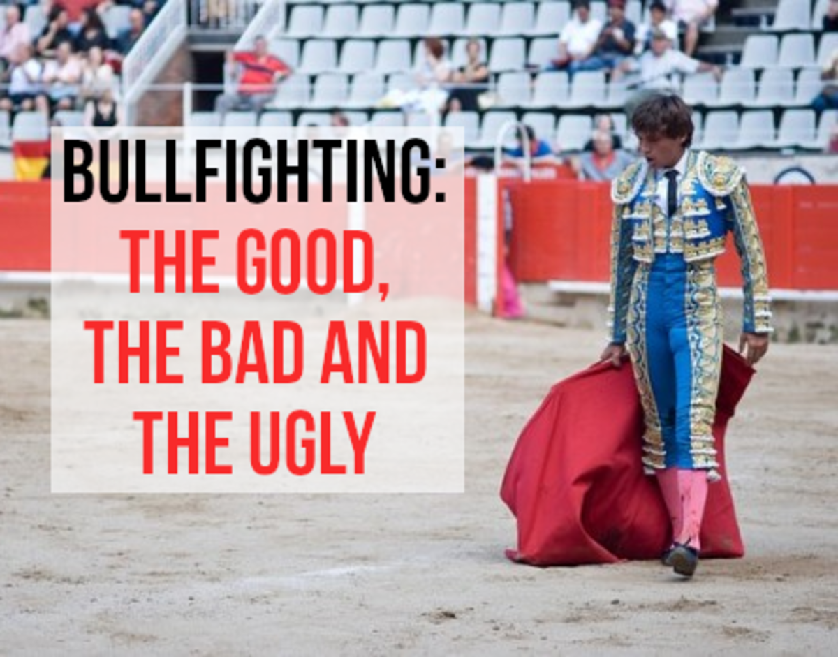 Read on for my list of arguments for and against bullfighting...