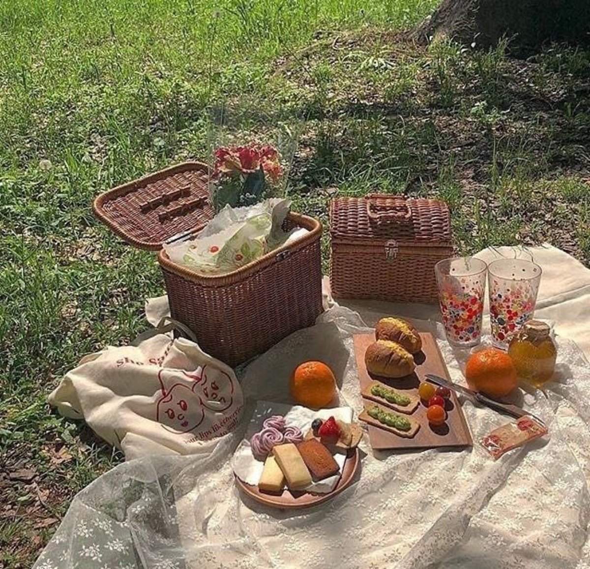 A Picnic with Friends: A Short Story/Tale