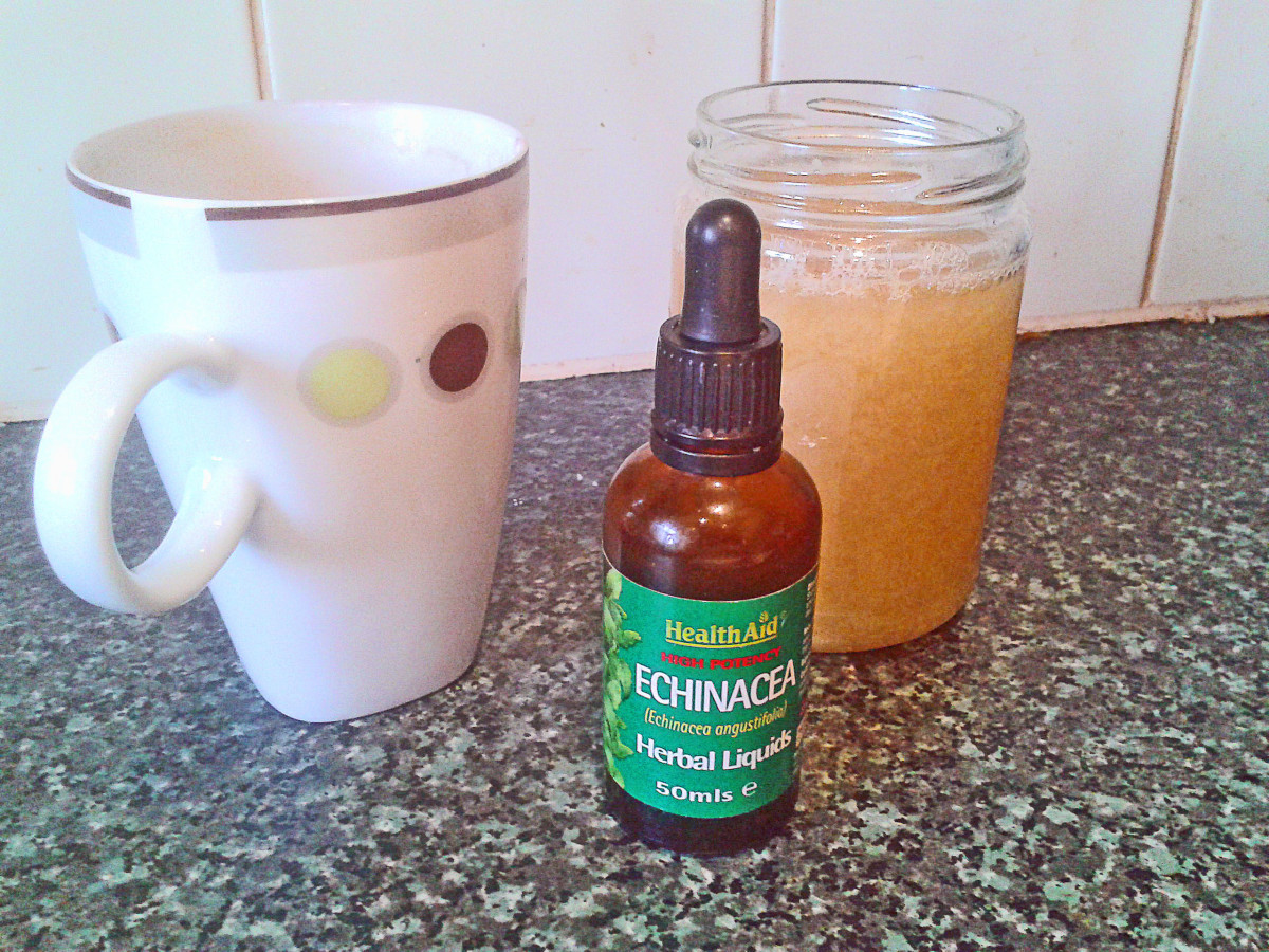 Echinacea Drops to Put in Lemon, Ginger and  Honey Drink