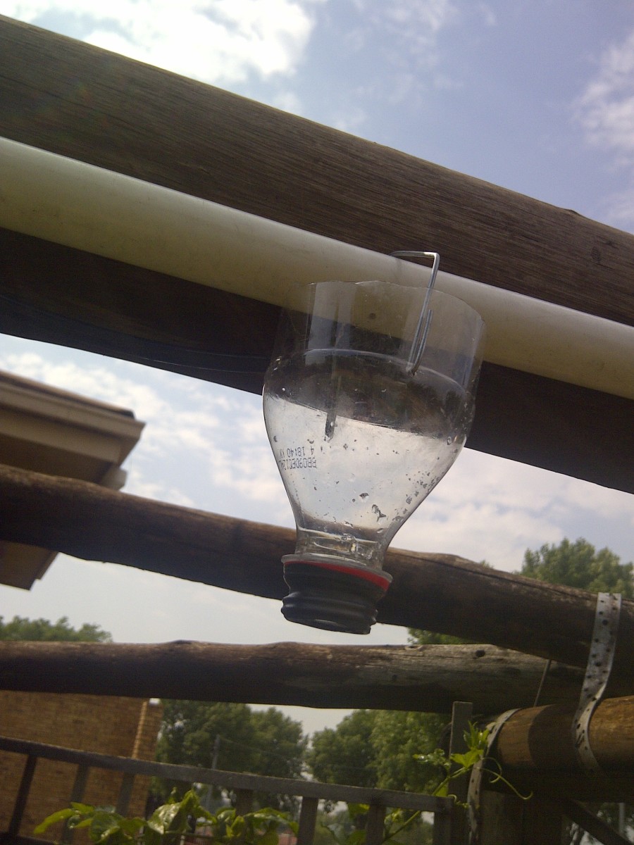 Hanging the 1/2 lt bottle onto a water pipe with a small hole drill in it.