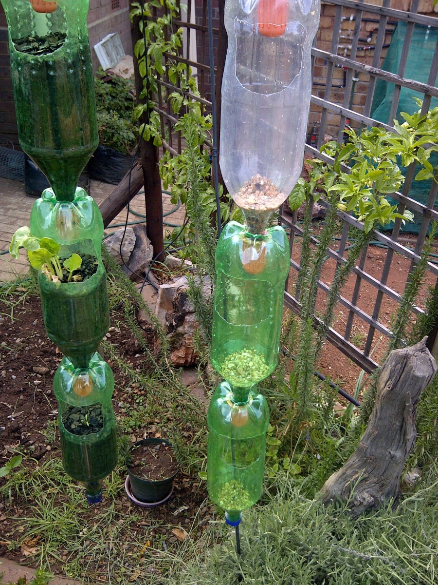 Bottles are now ready for filling with potting soil. 