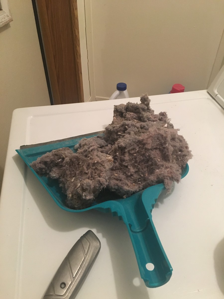 Fire starting lint pulled from the dryer duct.