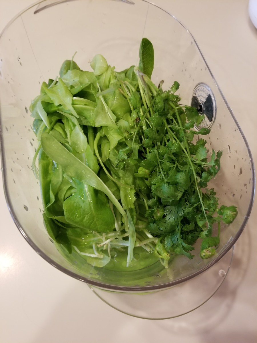 3 kinds of lettuce and some cilantro. 