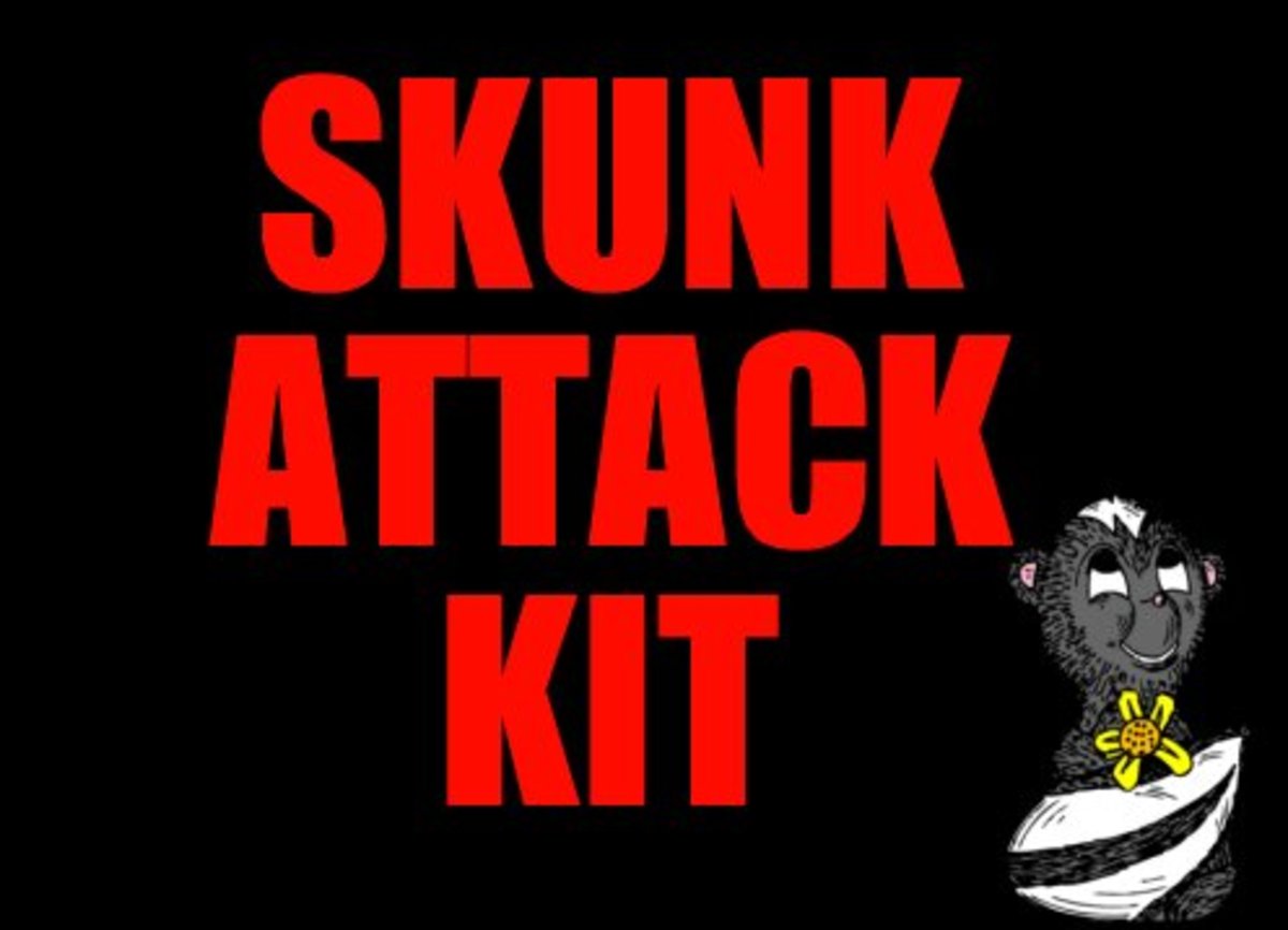 When Skunks Attack Your Dog PetHelpful