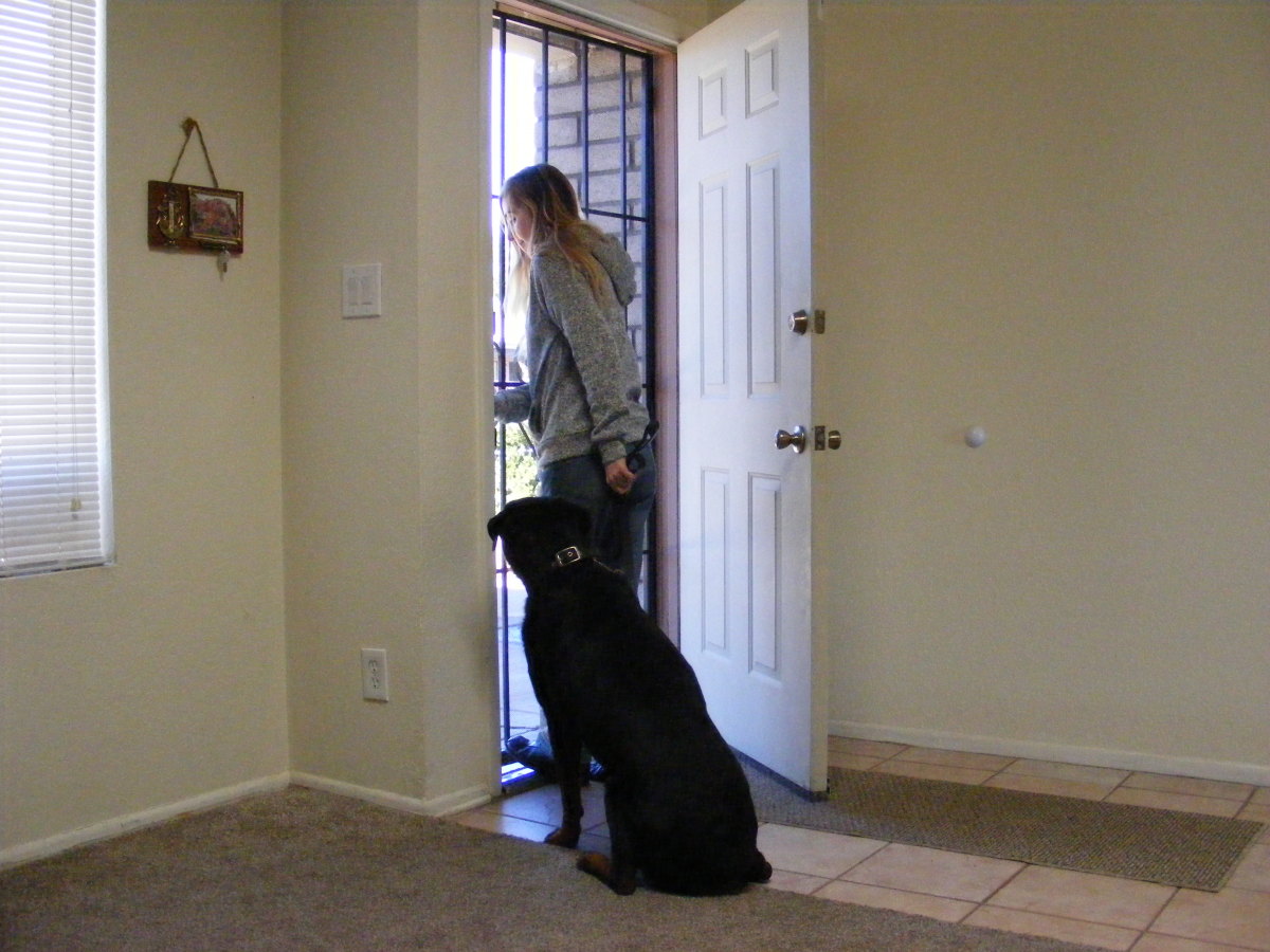 Ask your dog to sit before opening the door.