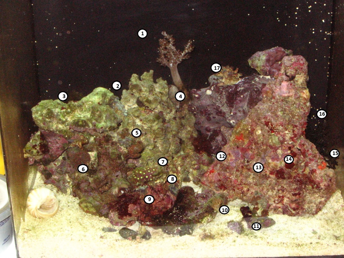Labeled view of the tank