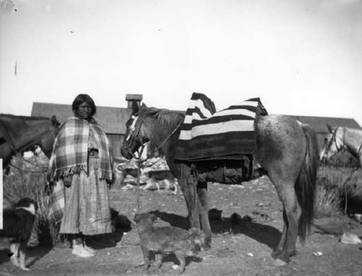 Ute woman, pony and her dogs (wait could that be a border collie on the left?)