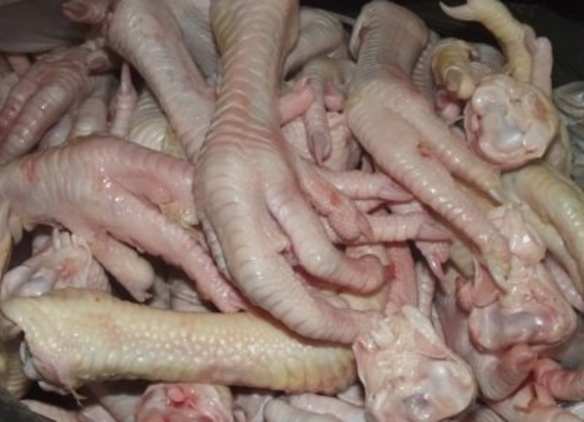 Chicken feet are an inexpensive and easily consumable source of
calcium.