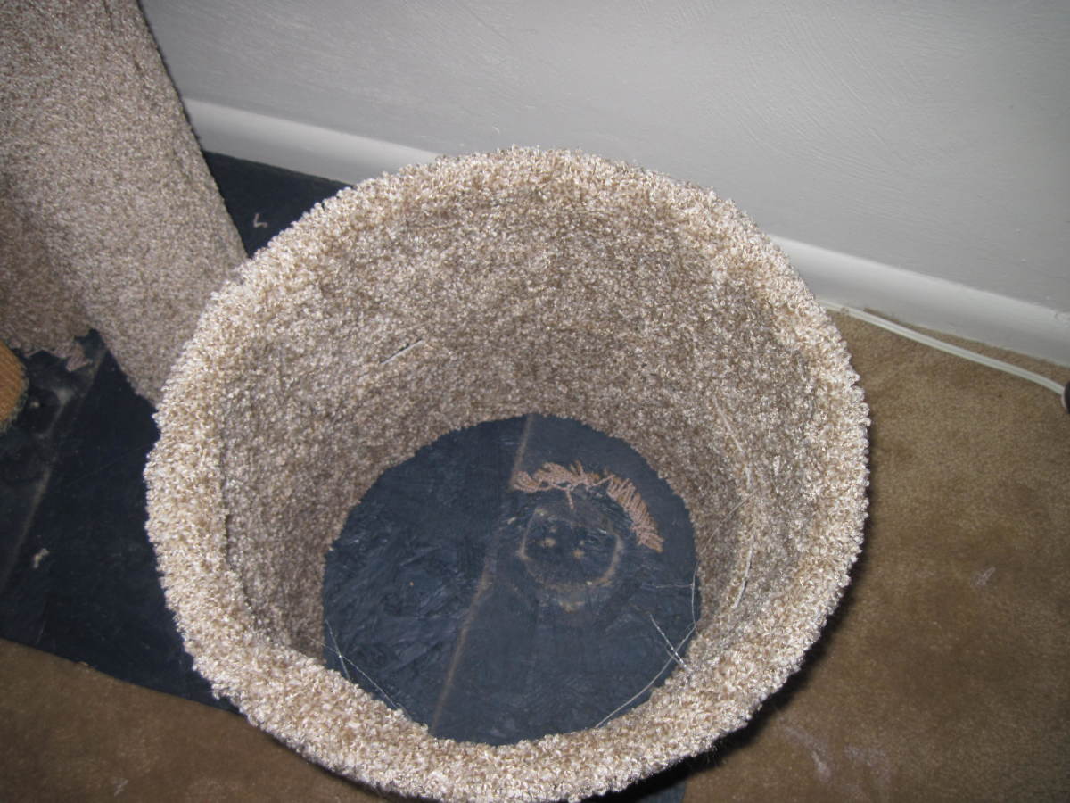 recarpeting cat tree
