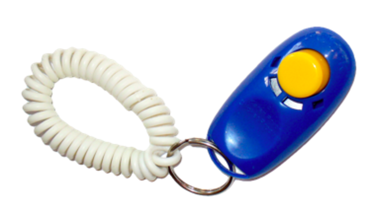 Example of a clicker.