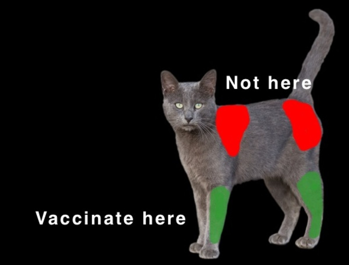 Recommended vaccination sites