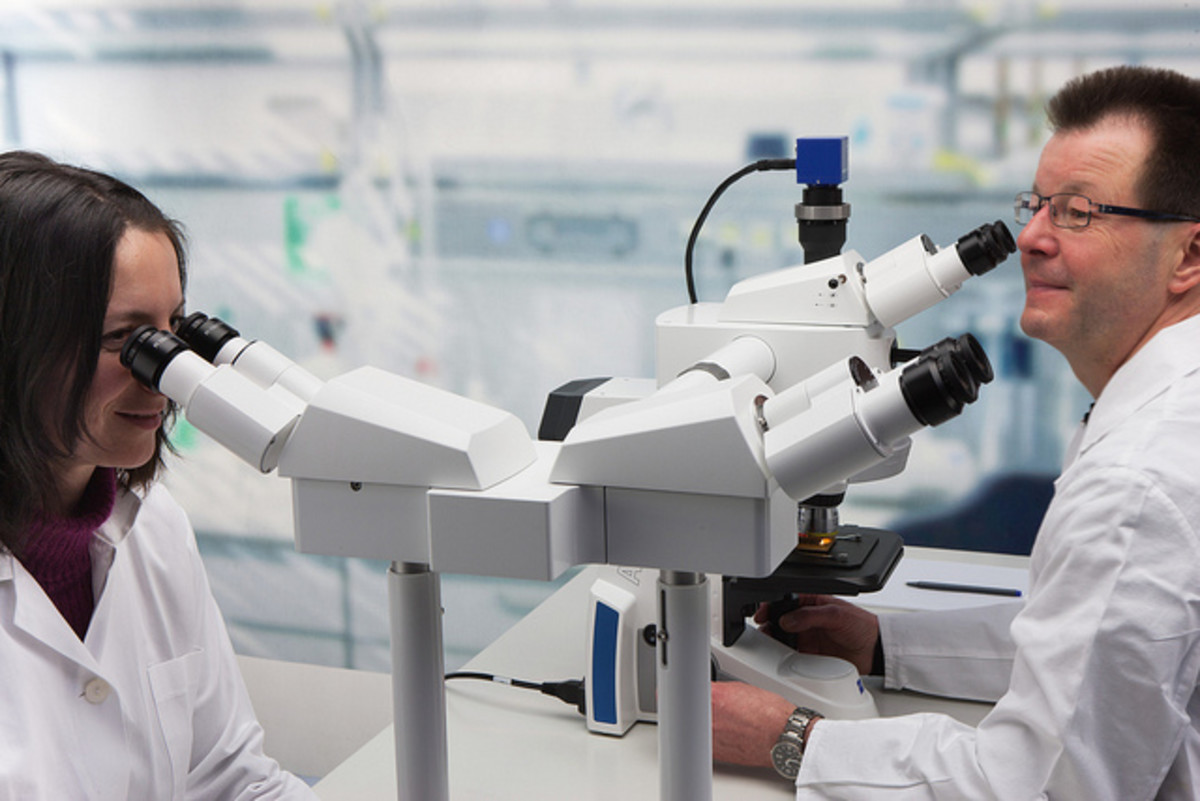 Why Does My Dog's Vet Charge So Much? (5 Good Reasons) PetHelpful