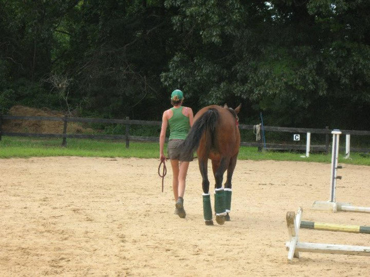 Great riders develop a close kinship with their horses.