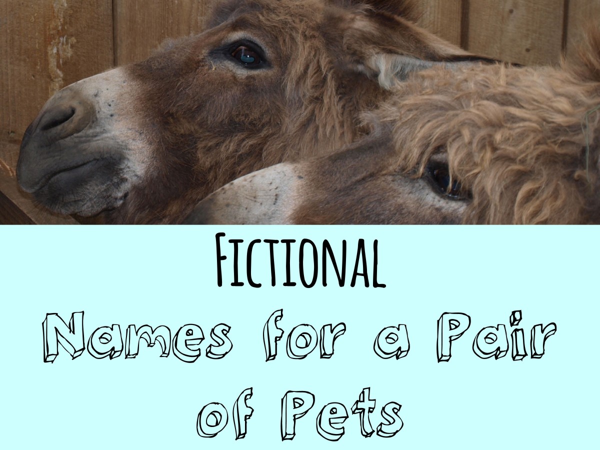 names-for-pairs-of-pets