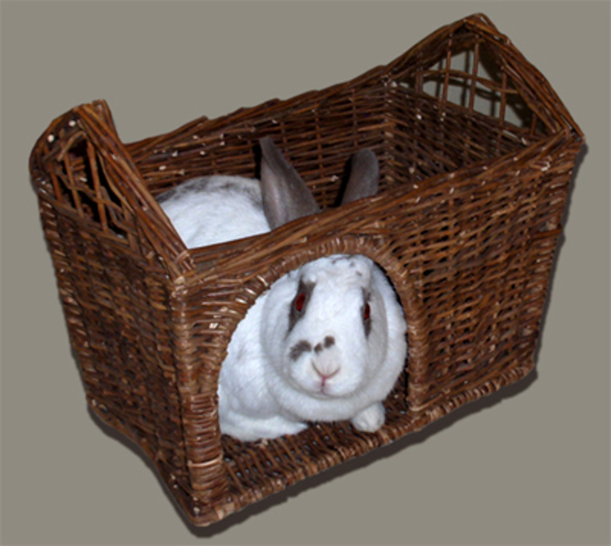 This bunny appears to be enjoying its wicker basket.