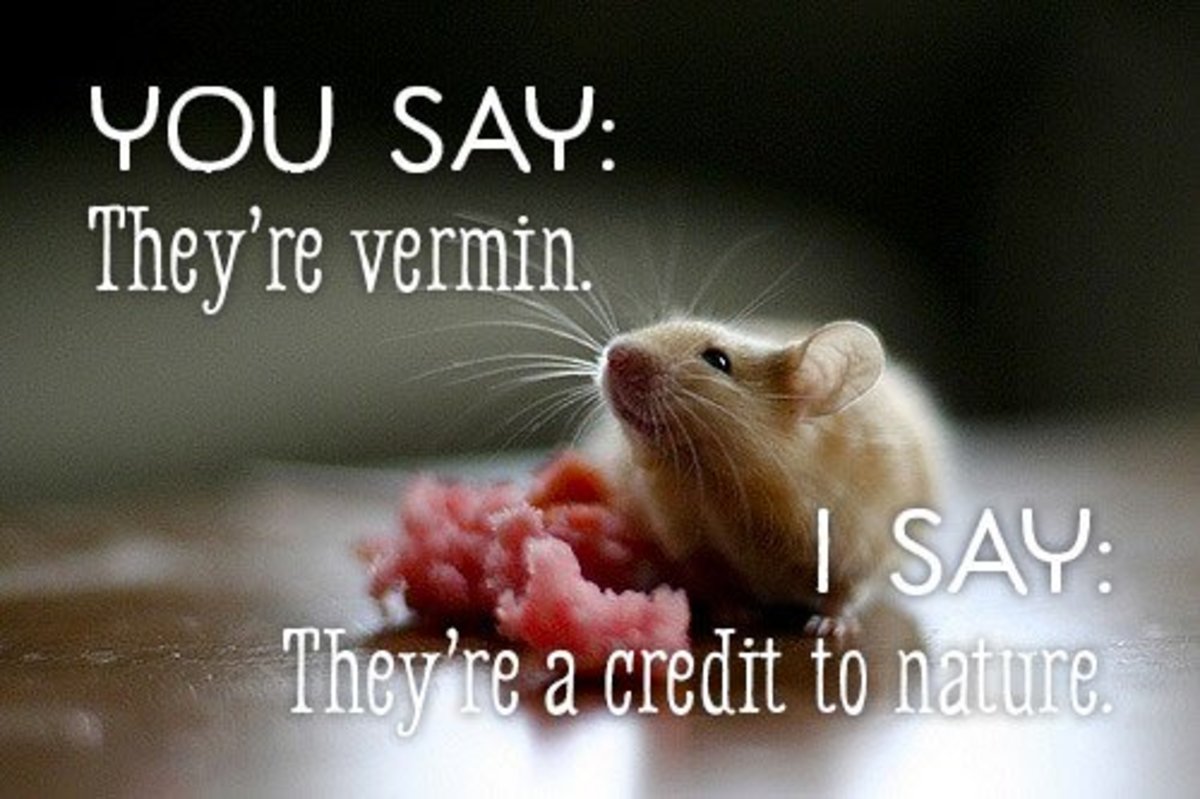 You say they're vermin. I say they're a credit to nature.