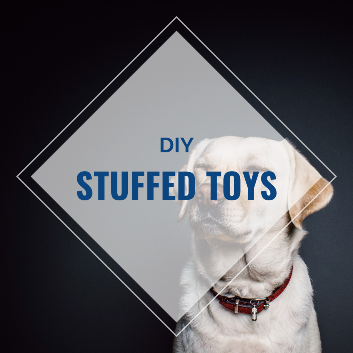 How to Make Your Own Homemade Dog Toys - PetHelpful