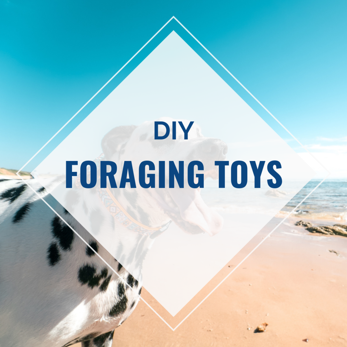 How to Make Your Own Homemade Dog Toys - PetHelpful