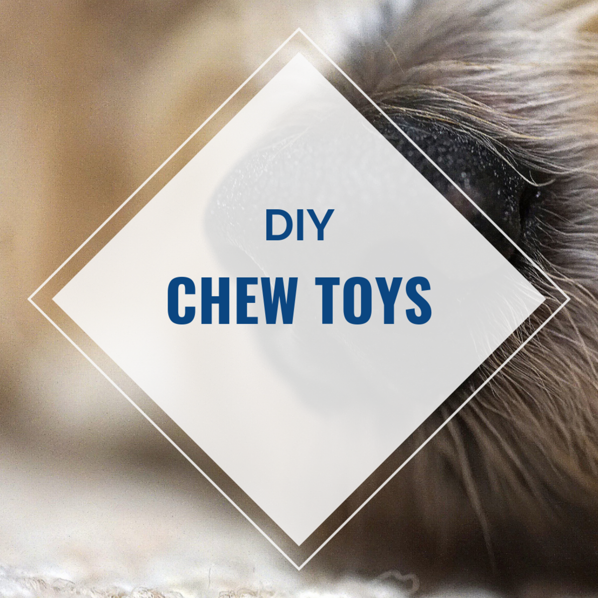 DIY Chew Toys