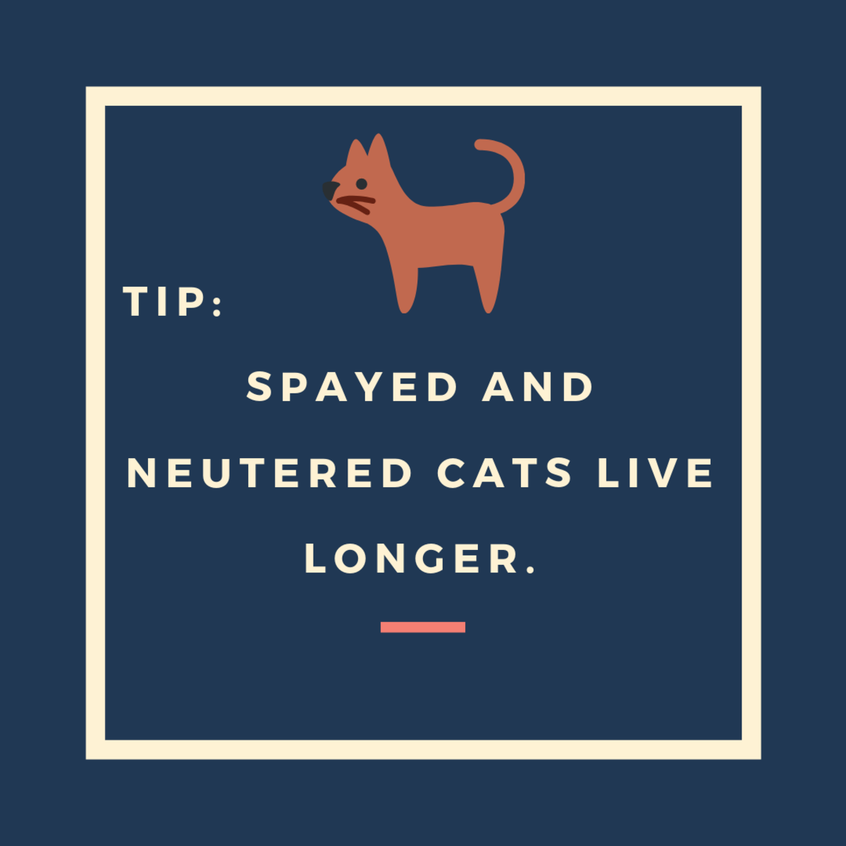 Spay or Neuter Your Cat