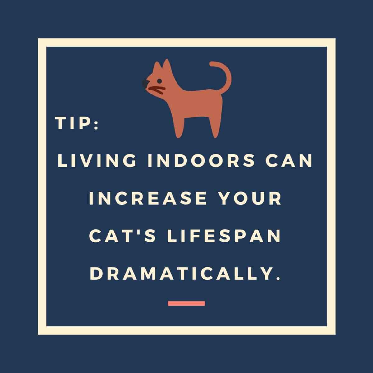 How to Help Your Cat Live Longer PetHelpful